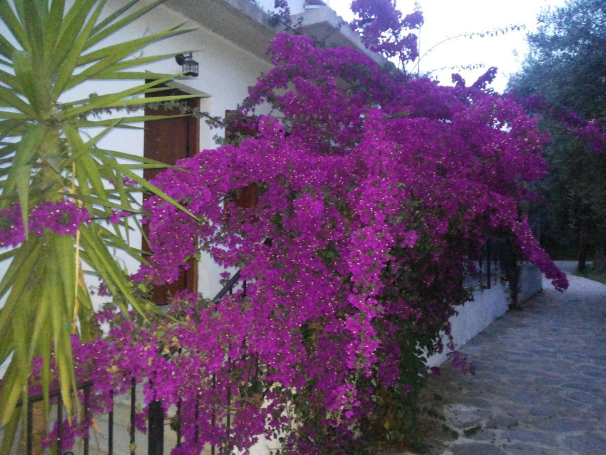 Menelaos Apartments Lefokastro Luaran gambar
